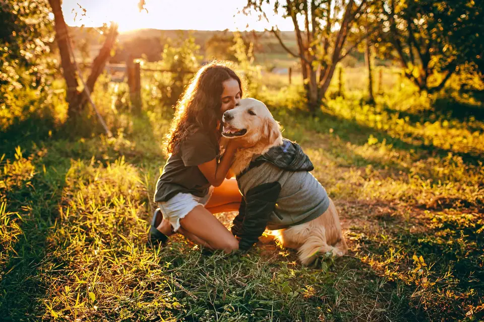 Home Owner Checklist | Prepare for a Successful House Sit